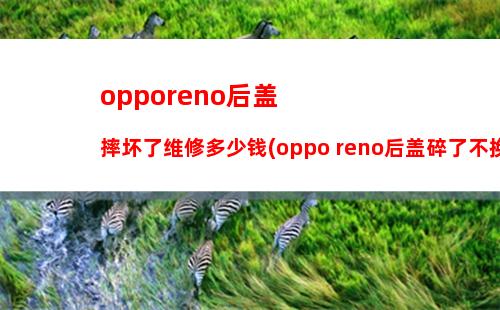 opporeno后盖摔坏了维修多少钱(oppo reno后盖碎了不换影响使用吗)